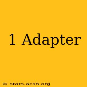 1 Adapter