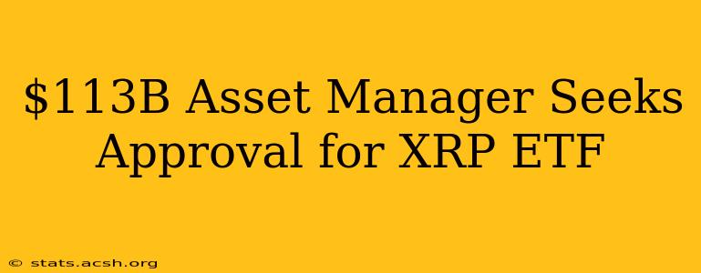 $113B Asset Manager Seeks Approval for XRP ETF