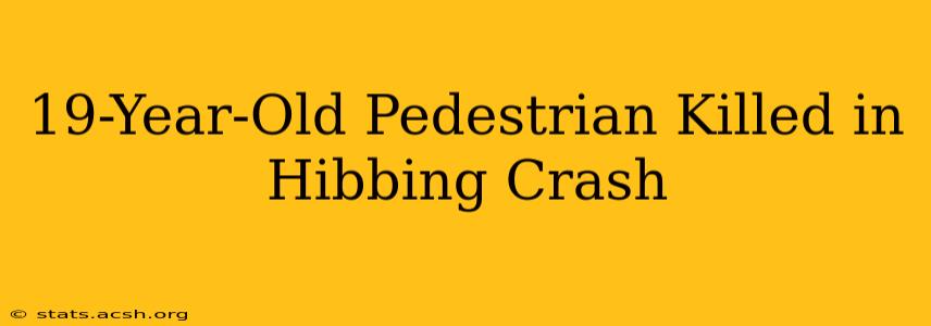 19-Year-Old Pedestrian Killed in Hibbing Crash