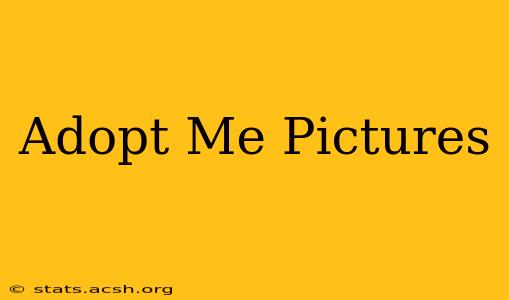 Adopt Me Pictures