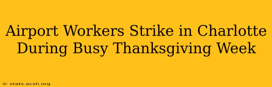 Airport Workers Strike in Charlotte During Busy Thanksgiving Week