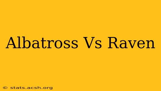 Albatross Vs Raven