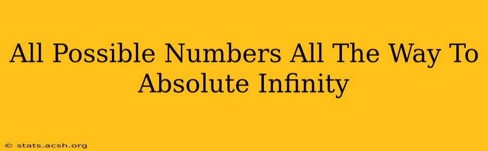 All Possible Numbers All The Way To Absolute Infinity