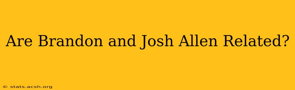 Are Brandon and Josh Allen Related?