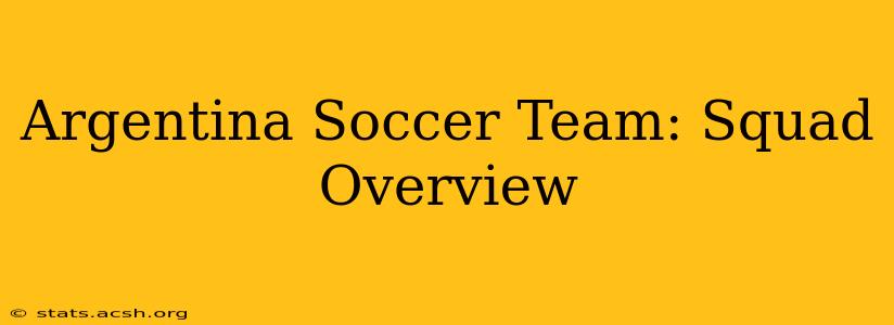 Argentina Soccer Team: Squad Overview