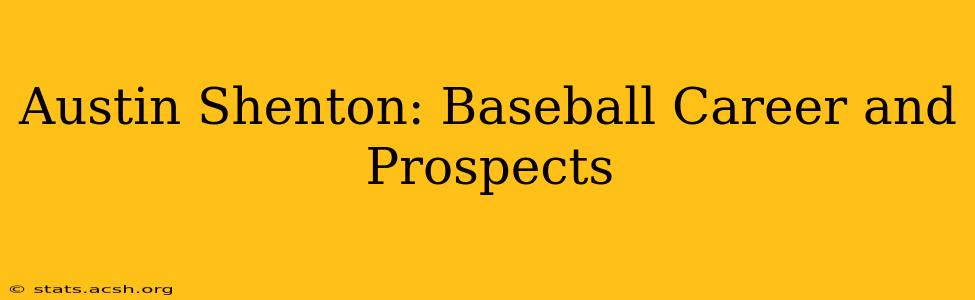 Austin Shenton: Baseball Career and Prospects