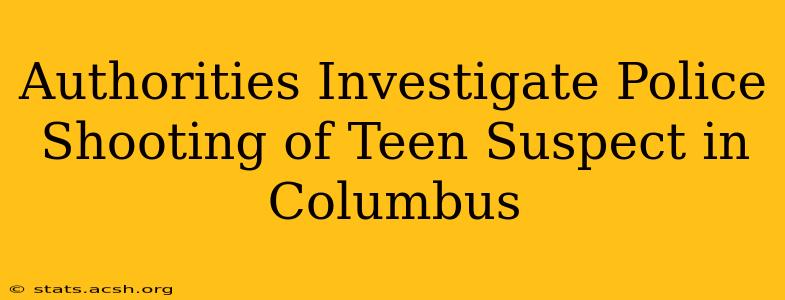 Authorities Investigate Police Shooting of Teen Suspect in Columbus