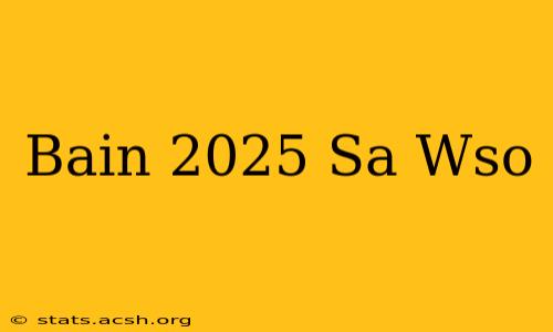 Bain 2025 Sa Wso