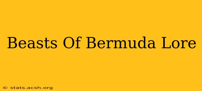 Beasts Of Bermuda Lore