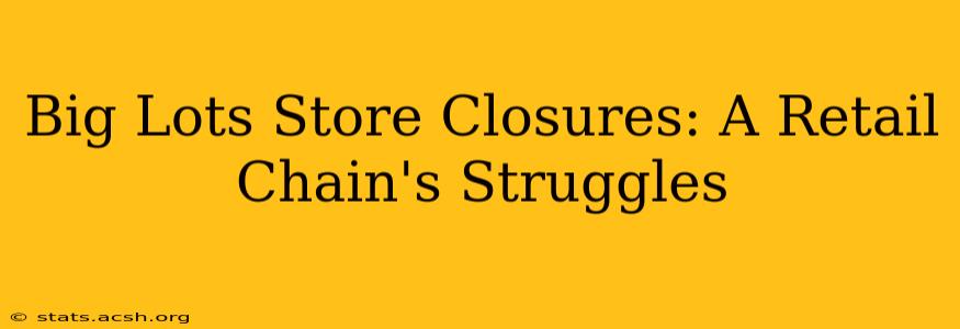 Big Lots Store Closures: A Retail Chain's Struggles