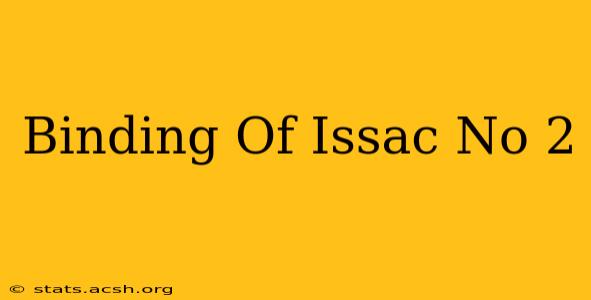 Binding Of Issac No 2