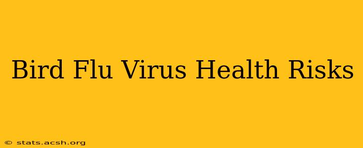 Bird Flu Virus Health Risks