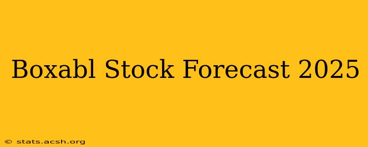 Boxabl Stock Forecast 2025