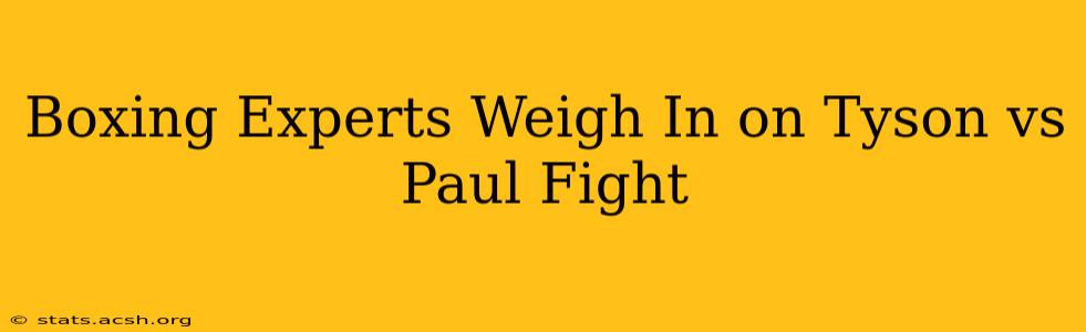 Boxing Experts Weigh In on Tyson vs Paul Fight