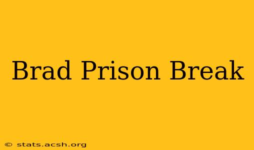 Brad Prison Break