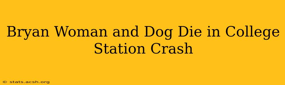 Bryan Woman and Dog Die in College Station Crash