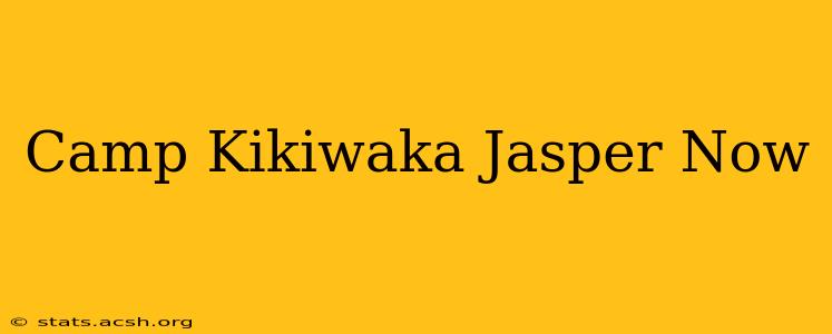 Camp Kikiwaka Jasper Now