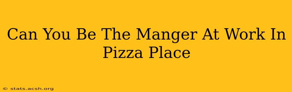 Can You Be The Manger At Work In Pizza Place