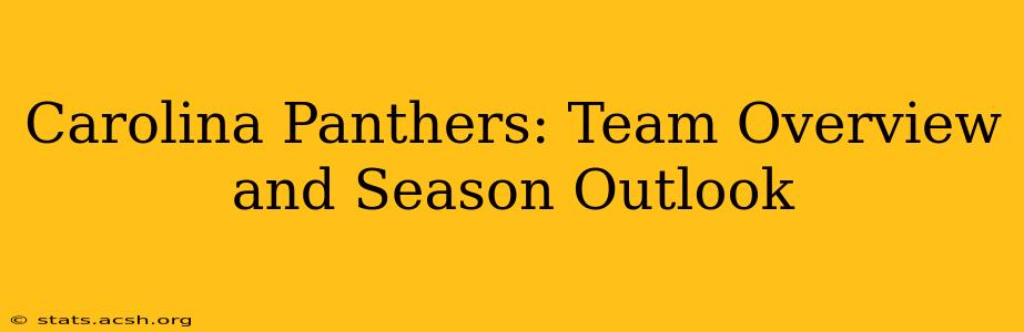 Carolina Panthers: Team Overview and Season Outlook