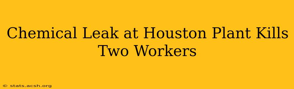 Chemical Leak at Houston Plant Kills Two Workers