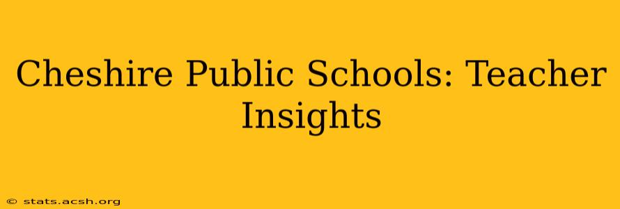 Cheshire Public Schools: Teacher Insights