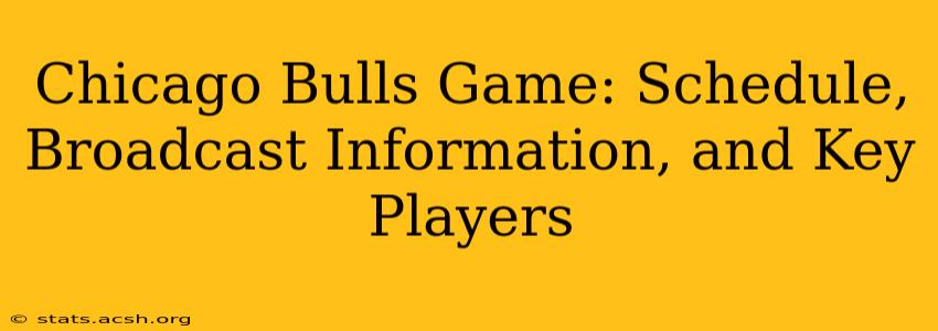 Chicago Bulls Game: Schedule, Broadcast Information, and Key Players