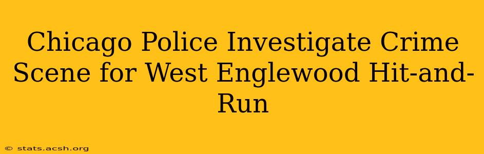 Chicago Police Investigate Crime Scene for West Englewood Hit-and-Run