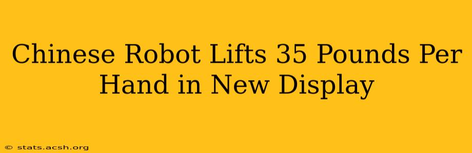 Chinese Robot Lifts 35 Pounds Per Hand in New Display