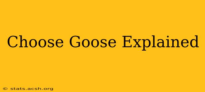 Choose Goose Explained