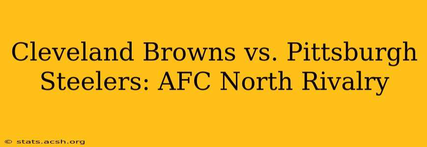 Cleveland Browns vs. Pittsburgh Steelers: AFC North Rivalry