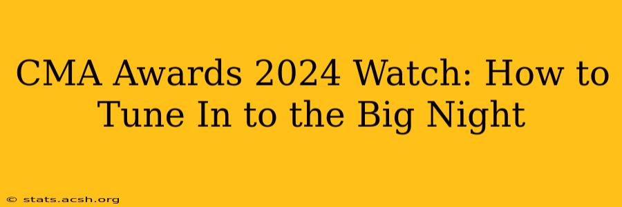 CMA Awards 2024 Watch: How to Tune In to the Big Night