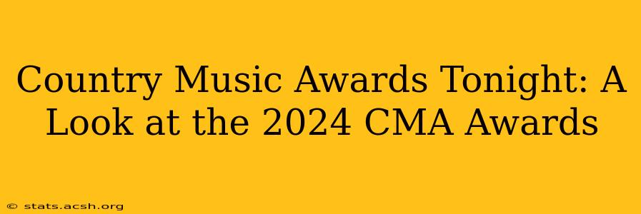 Country Music Awards Tonight: A Look at the 2024 CMA Awards