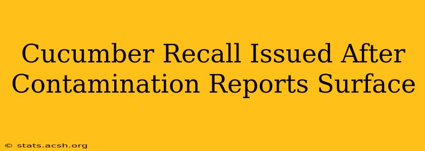 Cucumber Recall Issued After Contamination Reports Surface