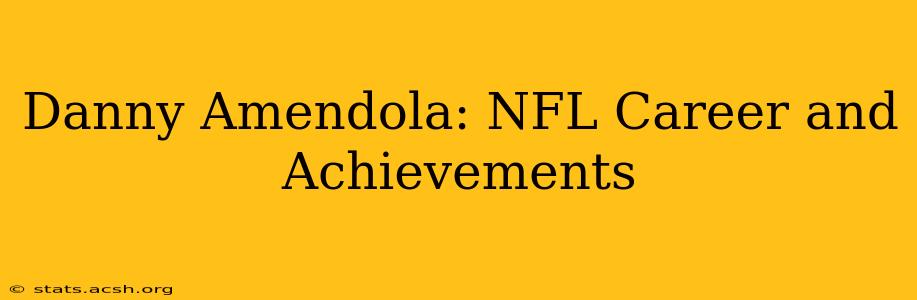 Danny Amendola: NFL Career and Achievements