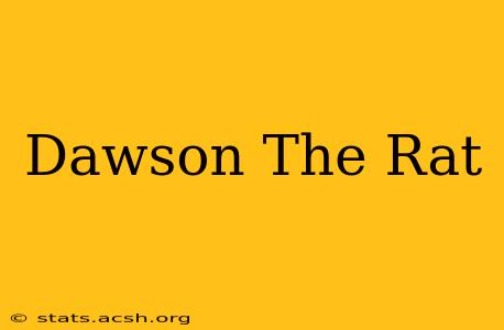 Dawson The Rat