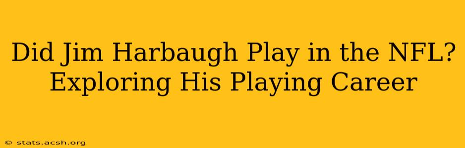 Did Jim Harbaugh Play in the NFL? Exploring His Playing Career