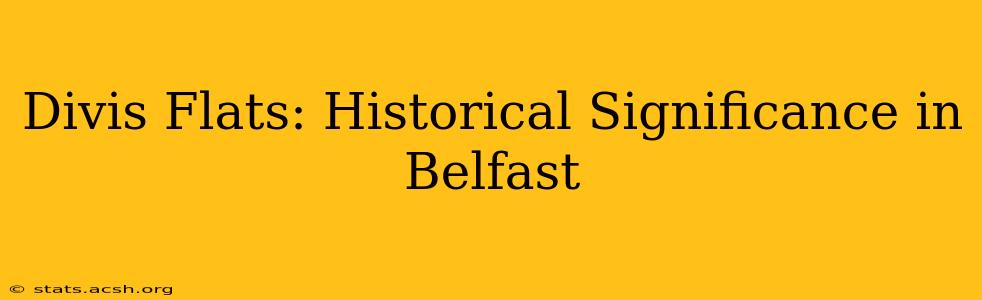 Divis Flats: Historical Significance in Belfast