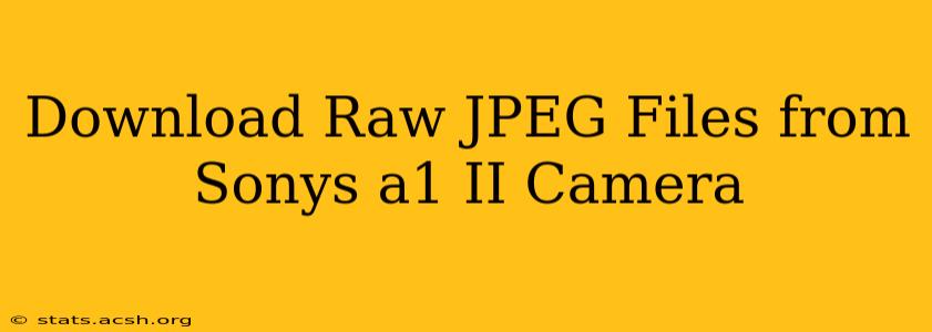 Download Raw JPEG Files from Sonys a1 II Camera