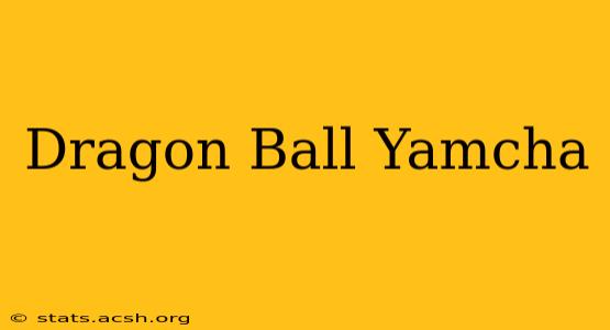 Dragon Ball Yamcha