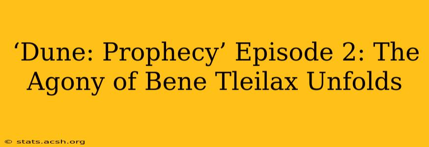 ‘Dune: Prophecy’ Episode 2: The Agony of Bene Tleilax Unfolds