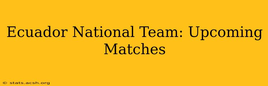 Ecuador National Team: Upcoming Matches