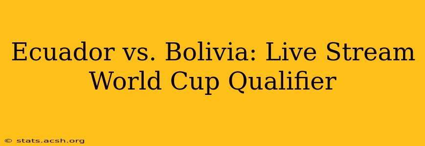 Ecuador vs. Bolivia: Live Stream World Cup Qualifier