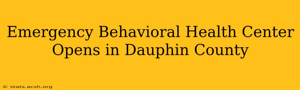 Emergency Behavioral Health Center Opens in Dauphin County