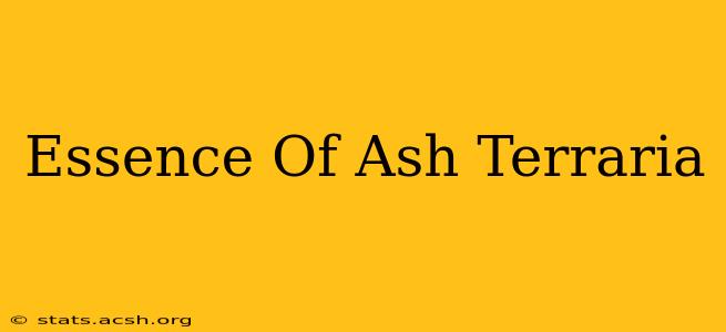 Essence Of Ash Terraria