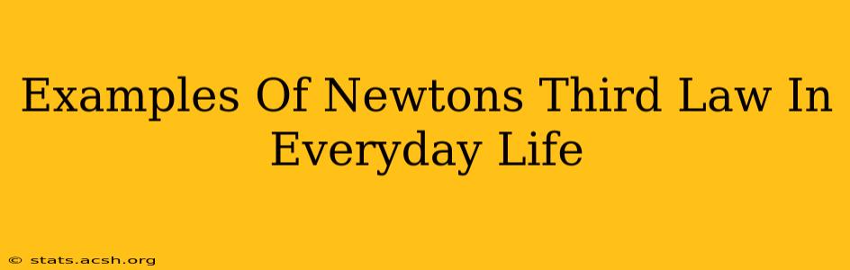 Examples Of Newtons Third Law In Everyday Life