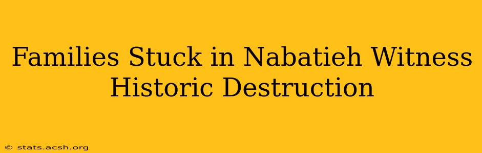 Families Stuck in Nabatieh Witness Historic Destruction