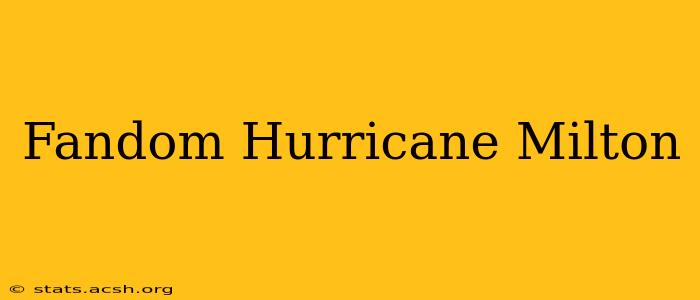 Fandom Hurricane Milton