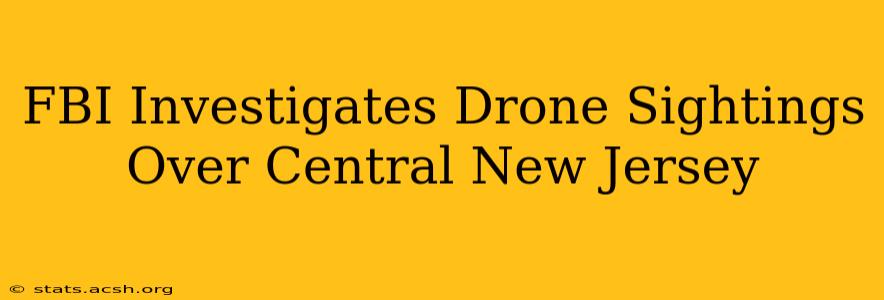 FBI Investigates Drone Sightings Over Central New Jersey