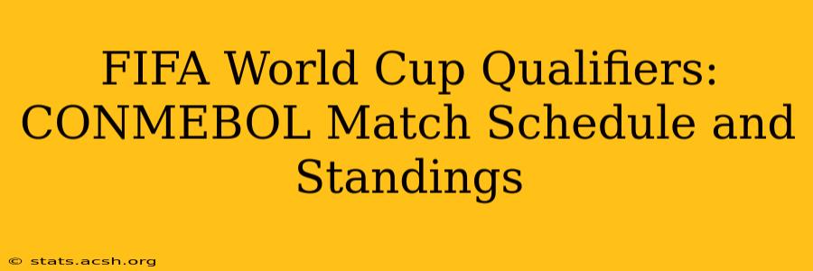 FIFA World Cup Qualifiers: CONMEBOL Match Schedule and Standings