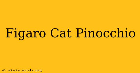 Figaro Cat Pinocchio